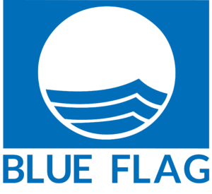blue flag logo